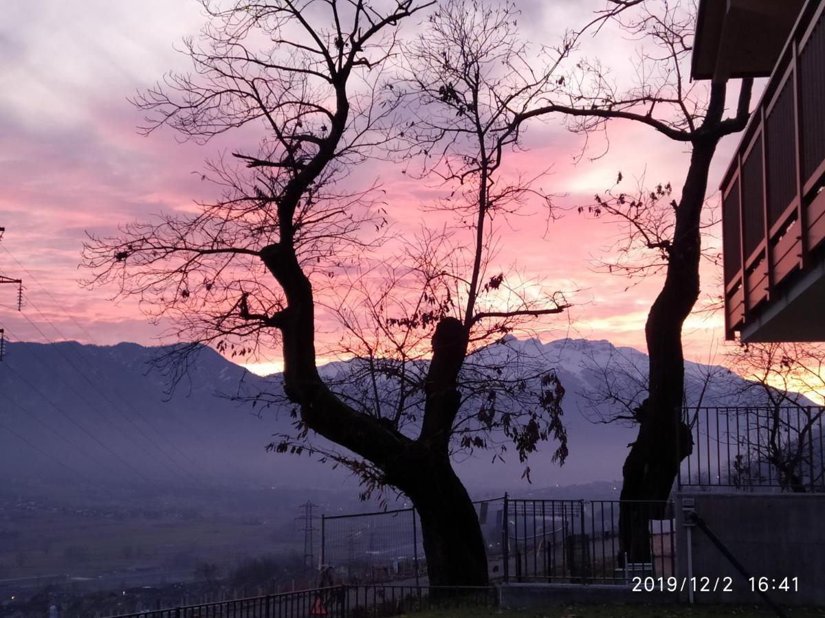 Il Riccio Del Castagno Apartment Novaledo Bagian luar foto