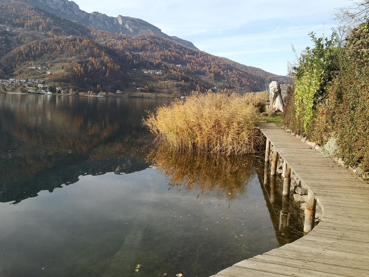 Il Riccio Del Castagno Apartment Novaledo Bagian luar foto