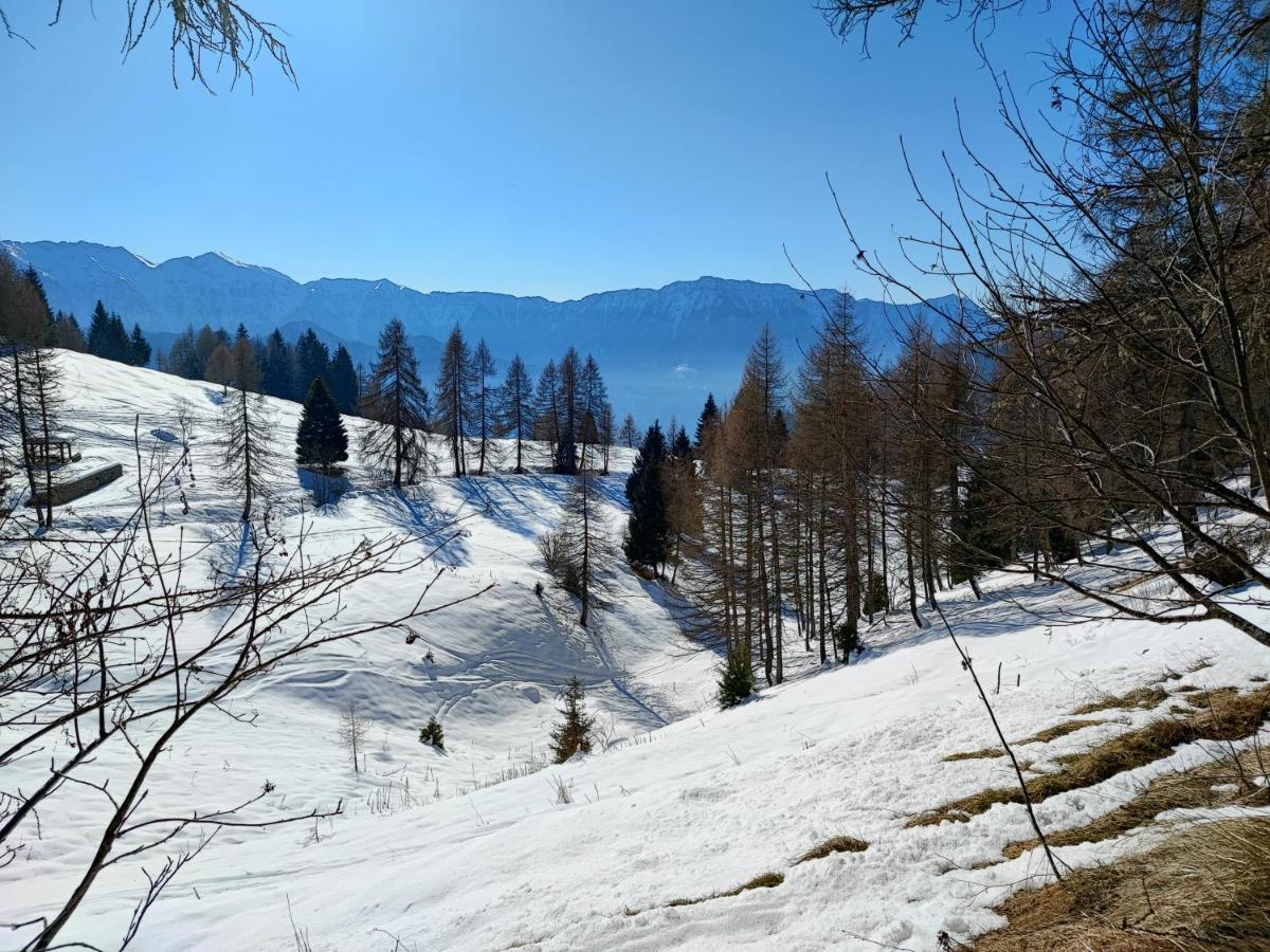 Il Riccio Del Castagno Apartment Novaledo Bagian luar foto