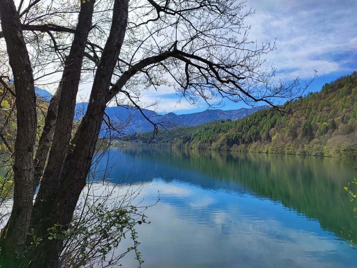 Il Riccio Del Castagno Apartment Novaledo Bagian luar foto