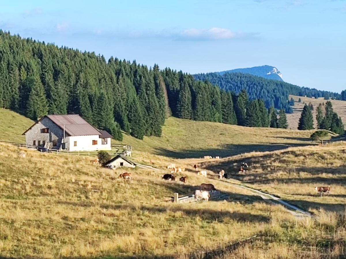 Il Riccio Del Castagno Apartment Novaledo Bagian luar foto